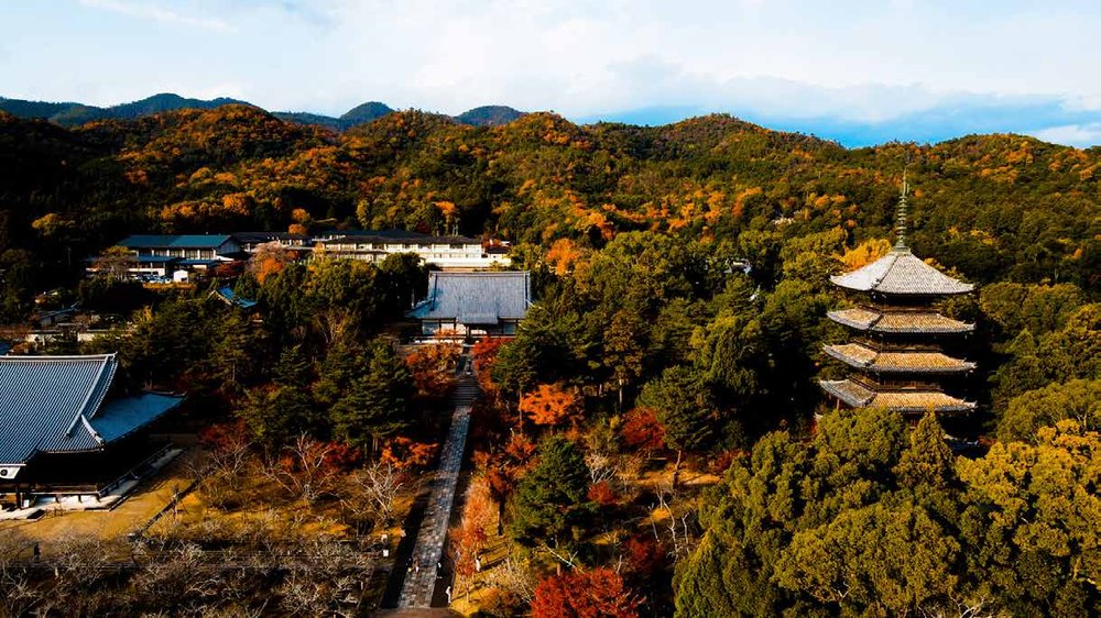 紅葉に染まる山景